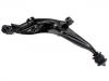 Control Arm:51360-S10-A00