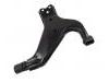 Control Arm:54501-0W000