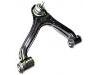 Control Arm:48630-0K020