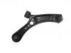 Control Arm:45201-79J00