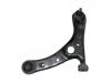 Control Arm:48069-49045