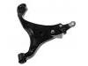 Control Arm:54501-1D000