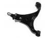 Control Arm:54500-1D000