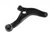 Control Arm:44 19 216