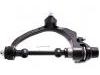 Control Arm:54410-4E000