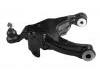 Control Arm:48069-60050