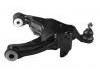 Control Arm:48068-60050